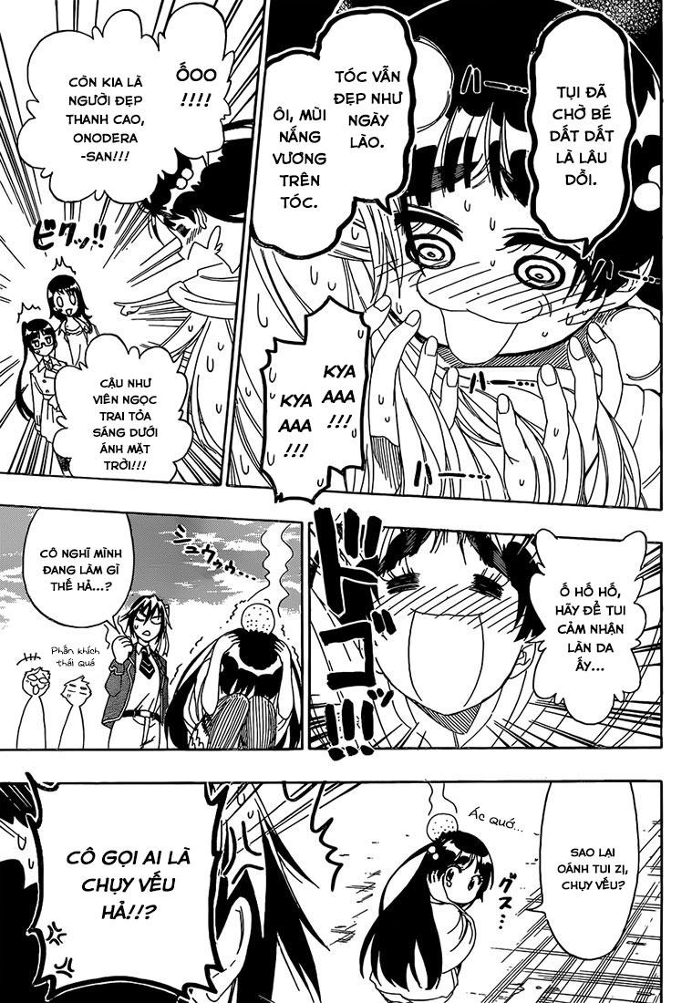 nisekoi - tình yêu giả tạo chapter 184 8