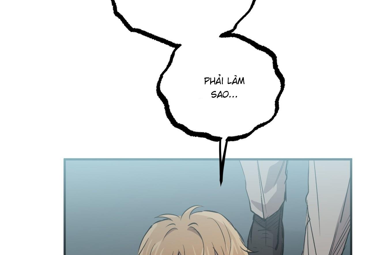 những chú thỏ của hapypy chapter 60 46