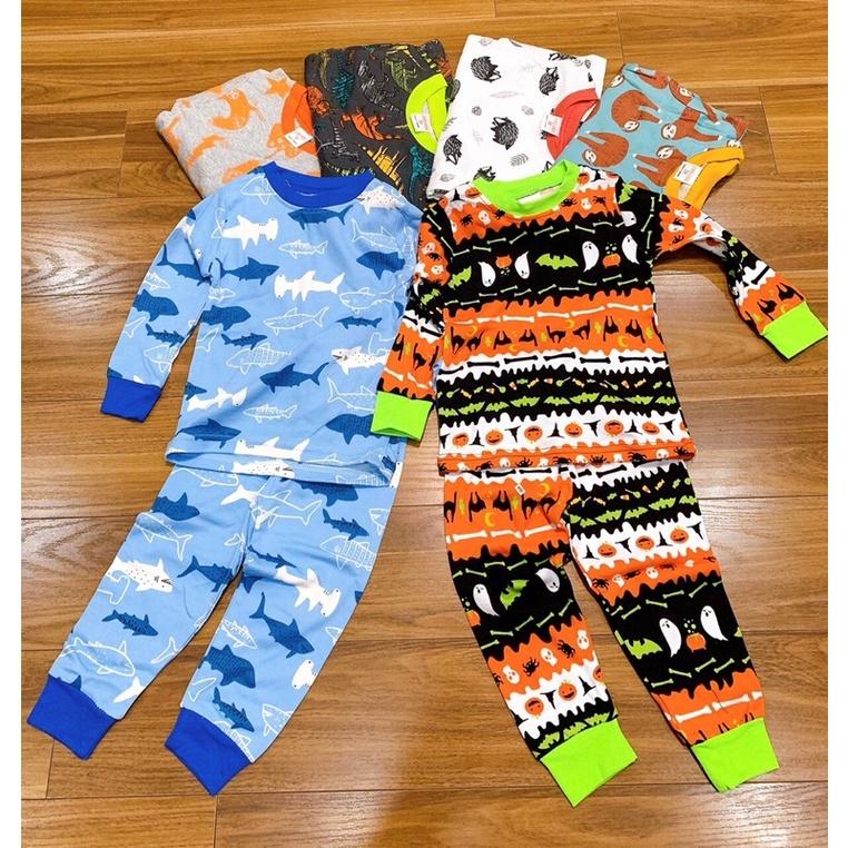 Bộ Cotton dài tay VNXK bé trai