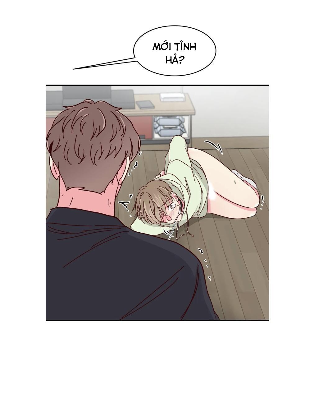 món tráng miệng của sếp tổng chapter 57 17