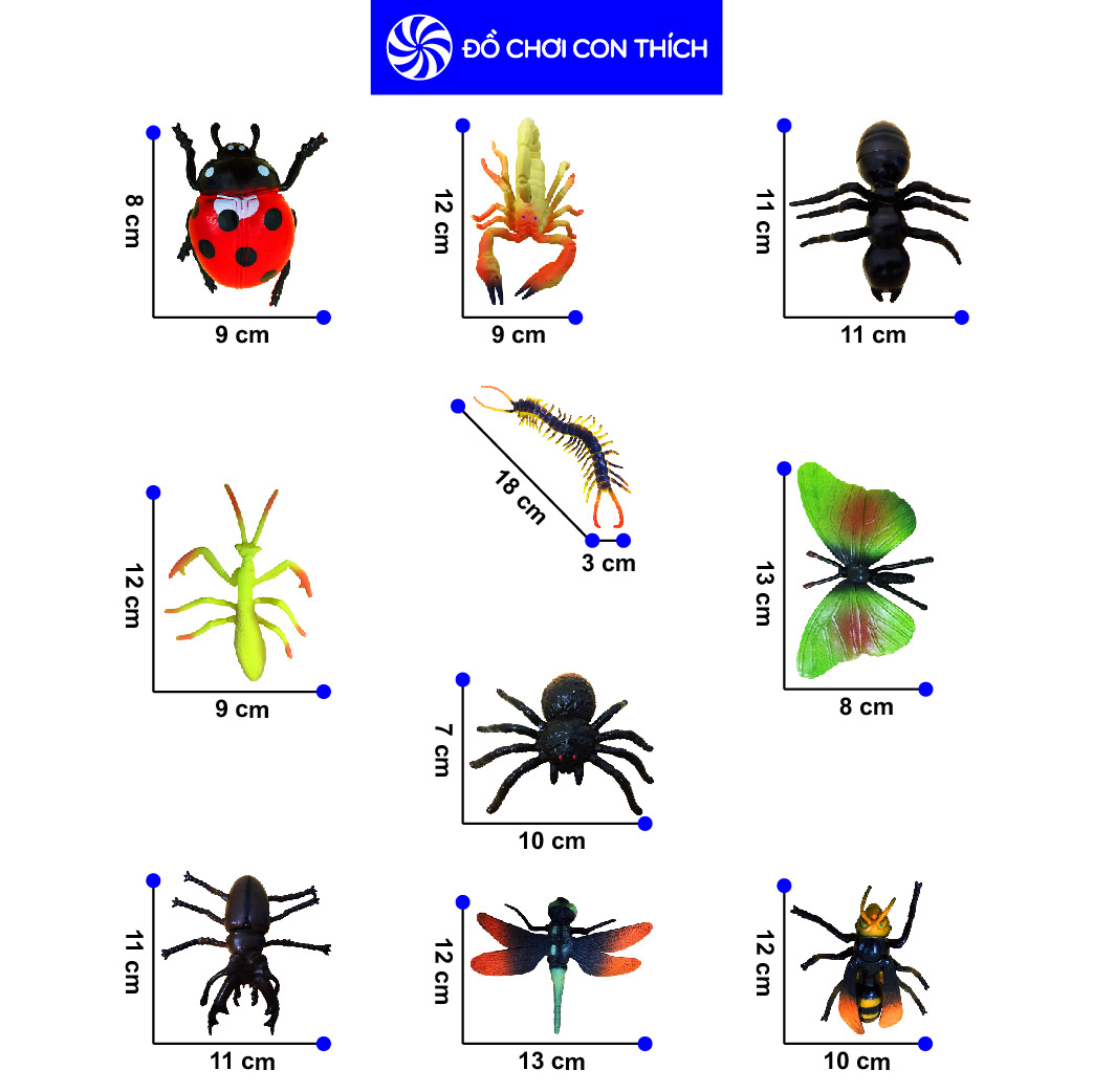 Đồ Chơi Túi 10 Côn Trùng Thế Giới Cho Bé Nhận Biết HT7505