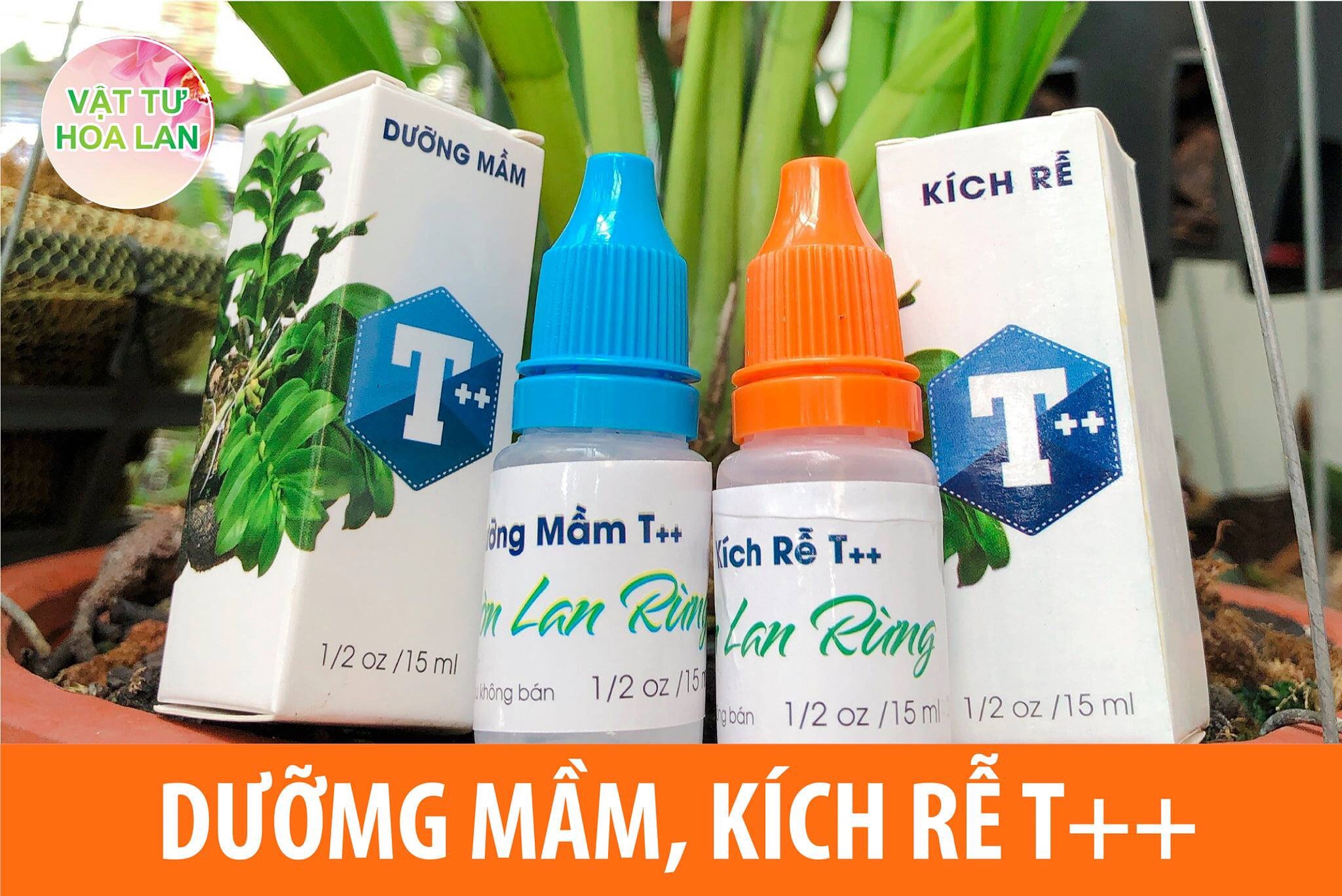 BỘ ĐÔI CHẾ PHẨM T++ PHONG LAN SIÊU DƯỠNG MẦM, KÍCH RỄ
