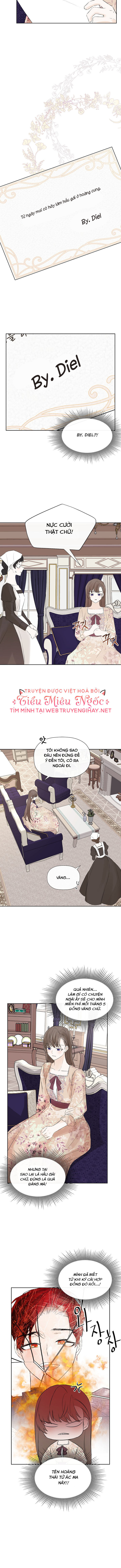 tôi biết bí mật của nam phụ chapter 8 5