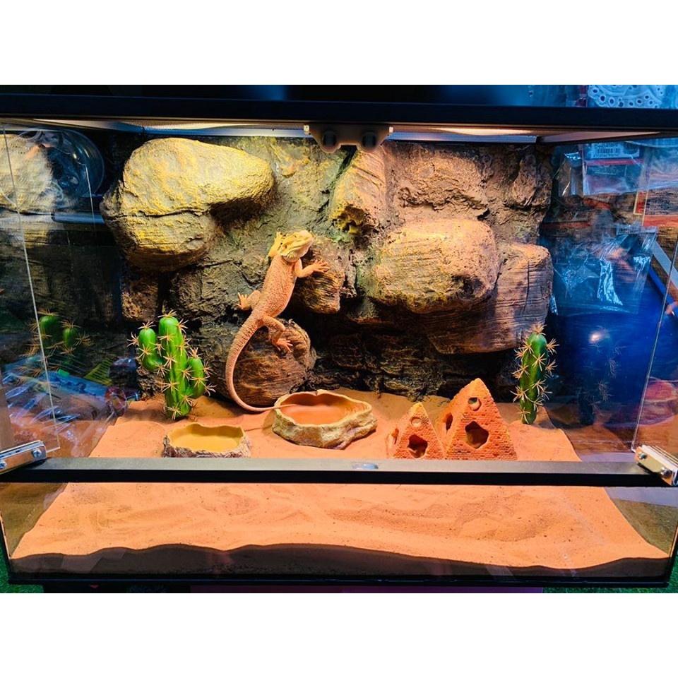 Đồng hồ cơ đo nhiệt chuồng bò sát Precision Analog Reptile Thermometer