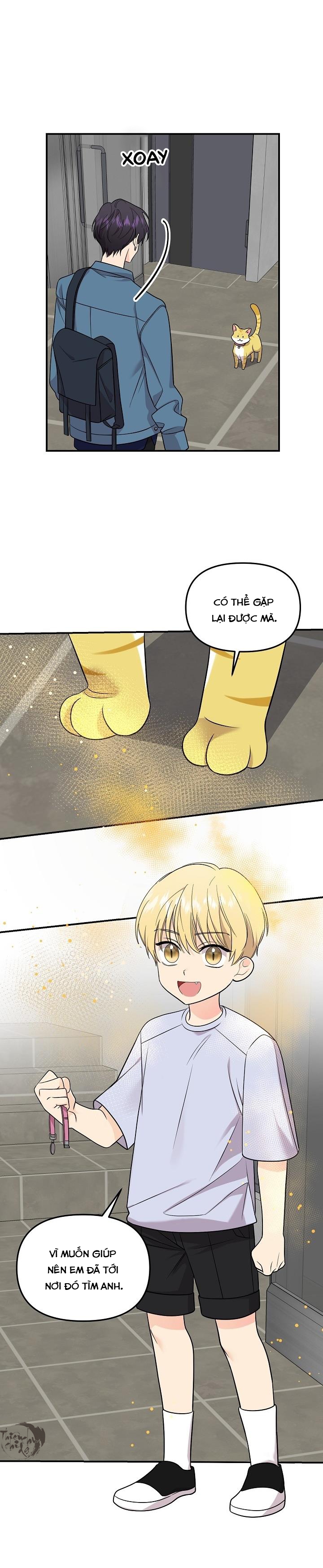 hoa ly hổ chapter 49 10