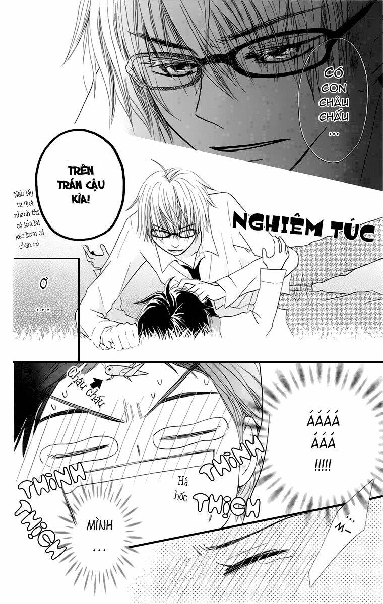 tonari no megane-kun chapter 3 18