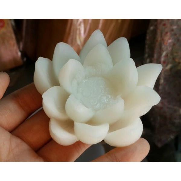 Khuôn silicon 3D mẫu sen nở nhụy
