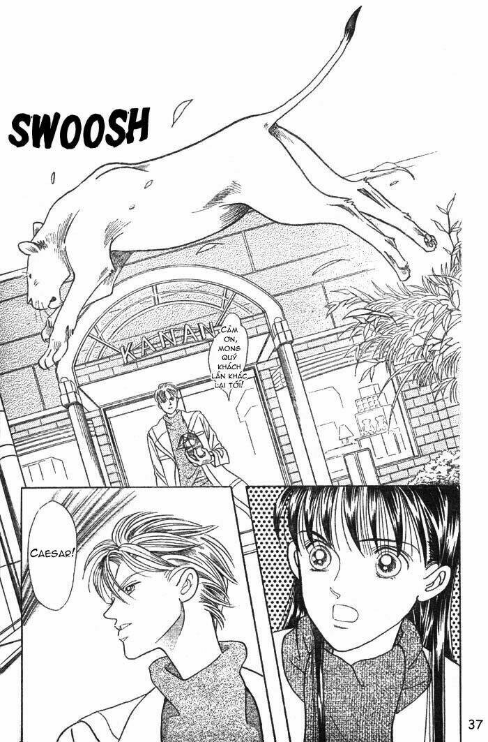 wild cats chapter 1 40