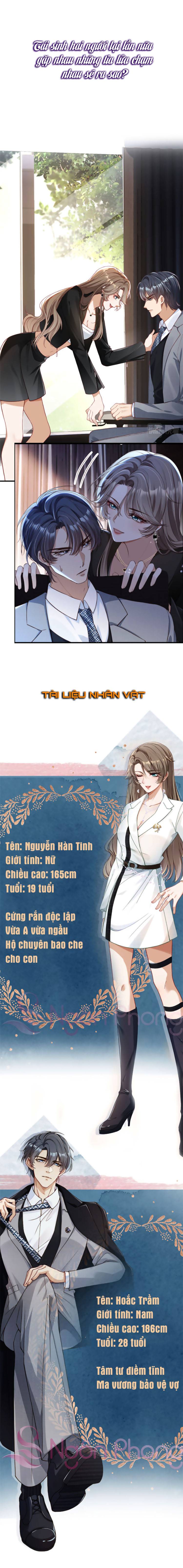 sau khi trùng sinh tôi gả cho tổng tài tàn tật chapter 0 2