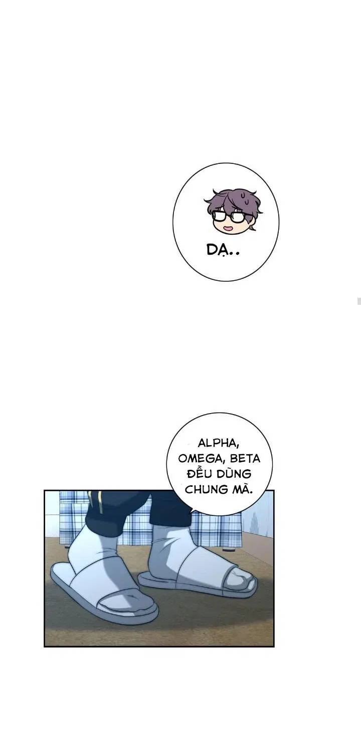 bí mật của omega k chapter 17 39