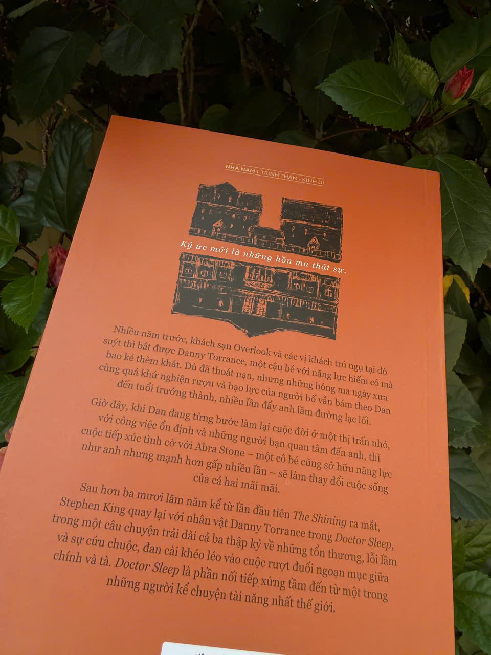 Sách - Bác sĩ an tử (Doctor Sleep) (Stephen King) (Nhã Nam HCM)