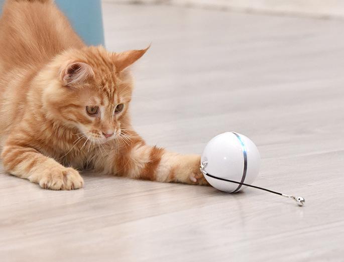 Đồ chơi cho mèo, Bóng mèo tương tác có đèn LED và Đồ chơi Catnip cho mèo trong nhà, Xoay tự động và Nâng cấp USB 2022