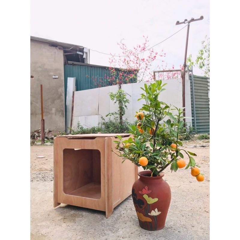 Nhà hộp vuông cho mèo, size L, gỗ Plywood thô chịu nước.