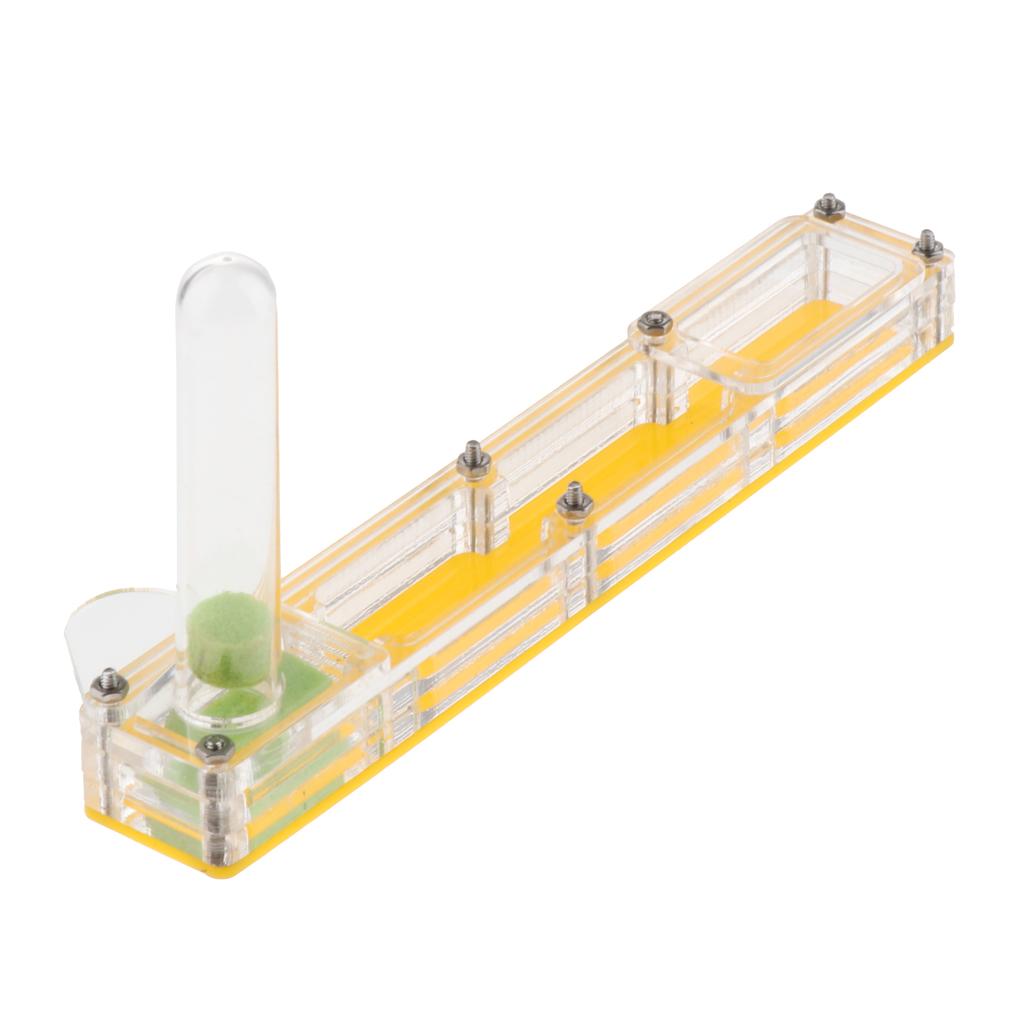 Ant Housing Box Experiment Toy Farm Insect Terrarium Pet Toys Fun Gift Clear