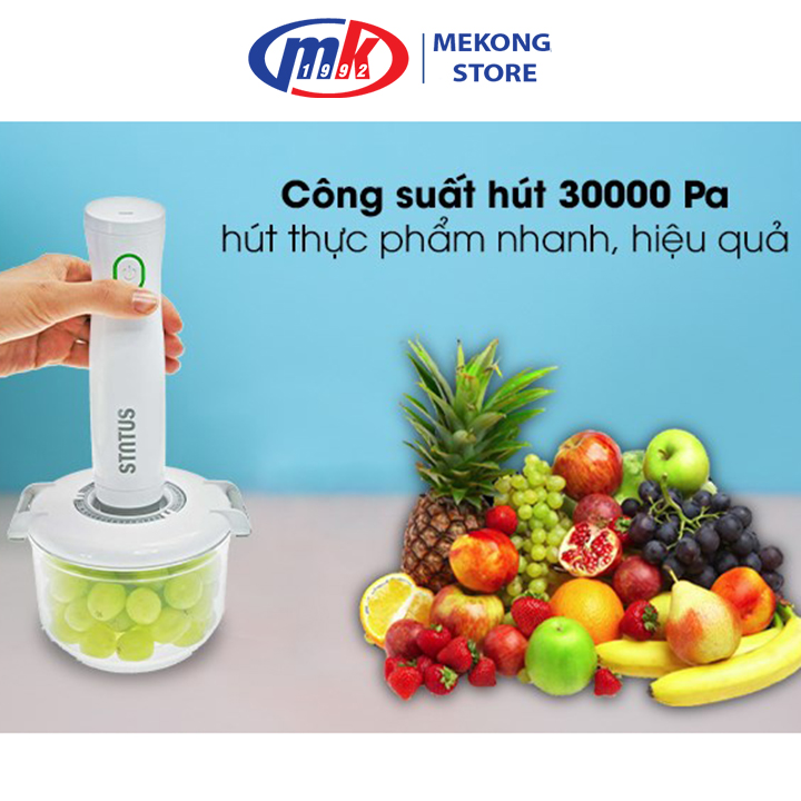 Bơm hút chân không cầm tay BVP100 - Hàng chính hãng