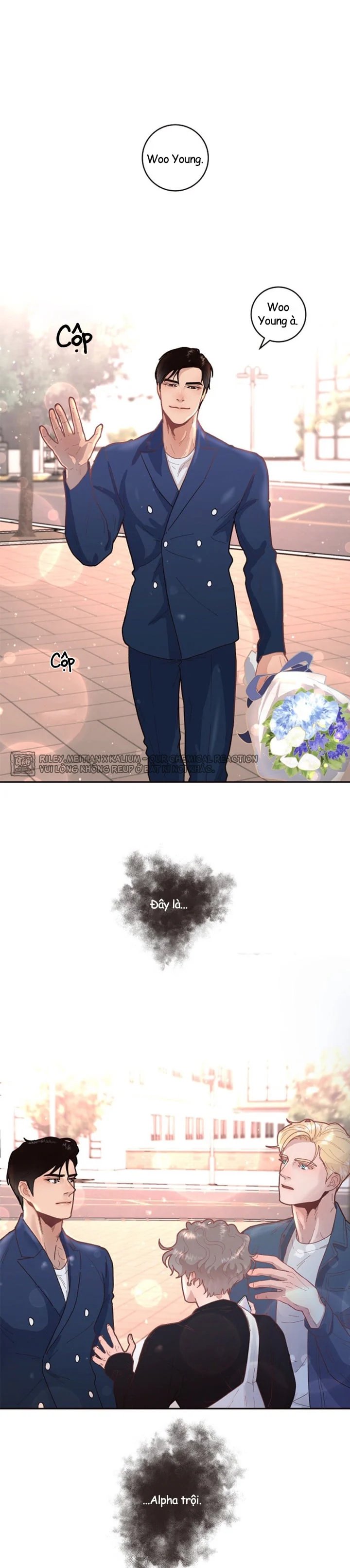 làm cách nào để theo đuổi một alpha? chapter 31 2