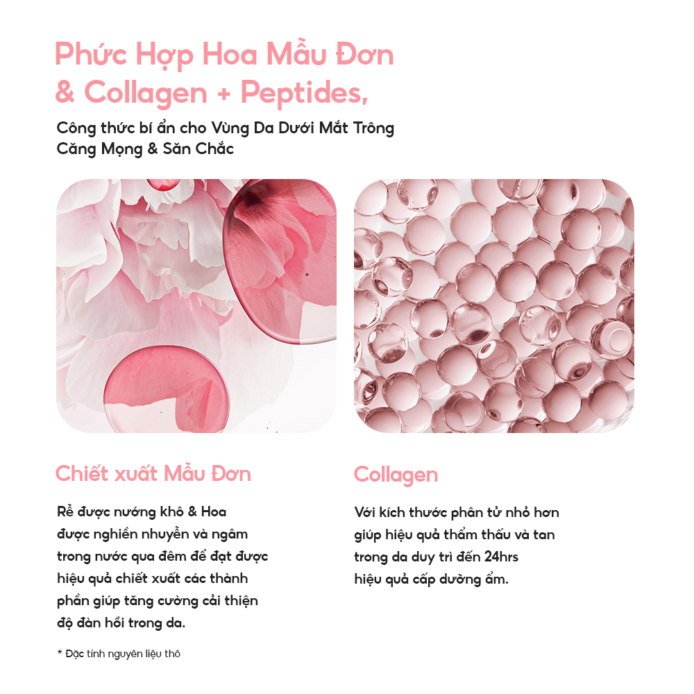 [MỚI] Mặt Nạ Ngủ Chăm Sóc Vùng Mắt Laneige Bouncy &amp; Firm Eye Sleeping Mask 20g