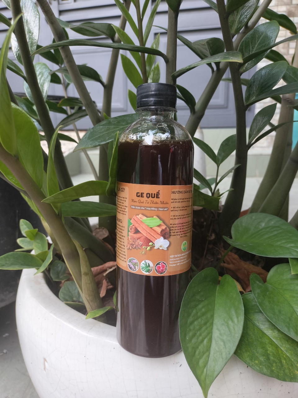 GE quế - chai 500ml - phòng ngừa thối nhũn, nấm bệnh cho lan, cây trồng.