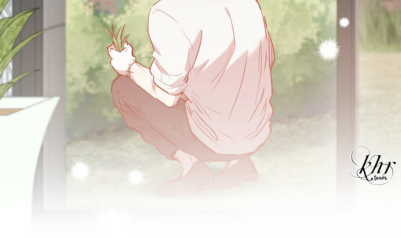 những chú thỏ của hapypy chapter 20 176