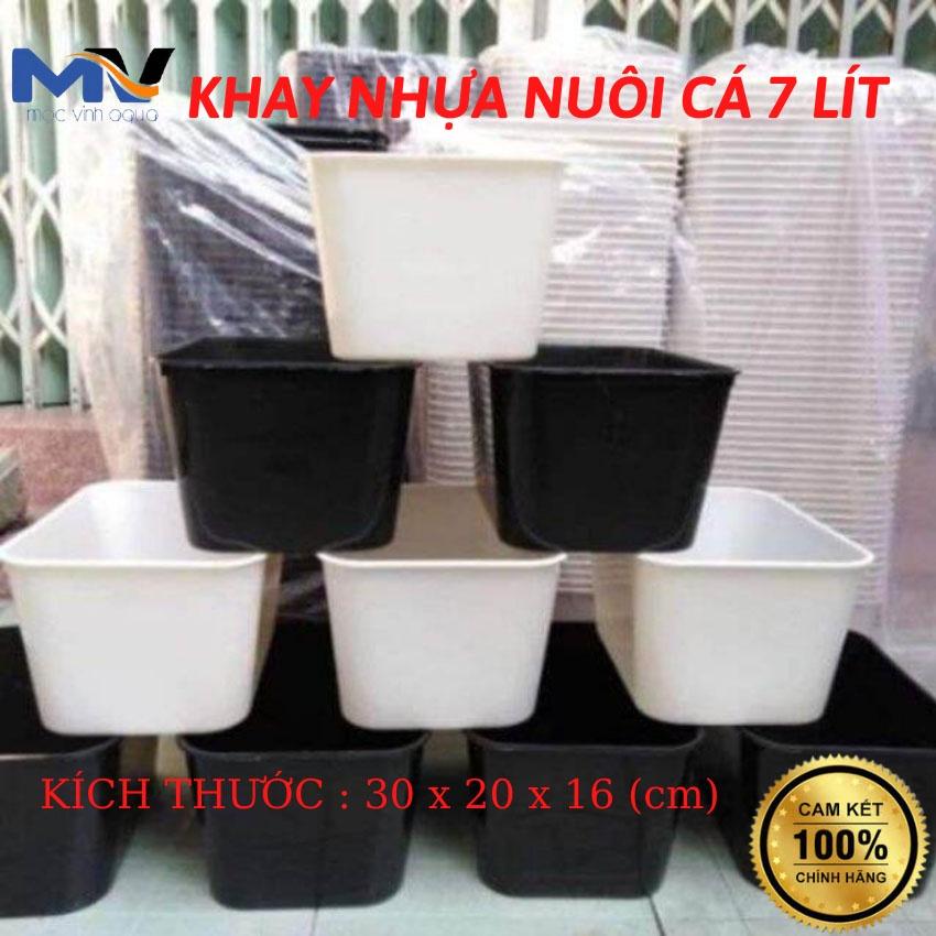 Khay nhựa nuôi cá Guppy kích thước 30x20x16 cm
