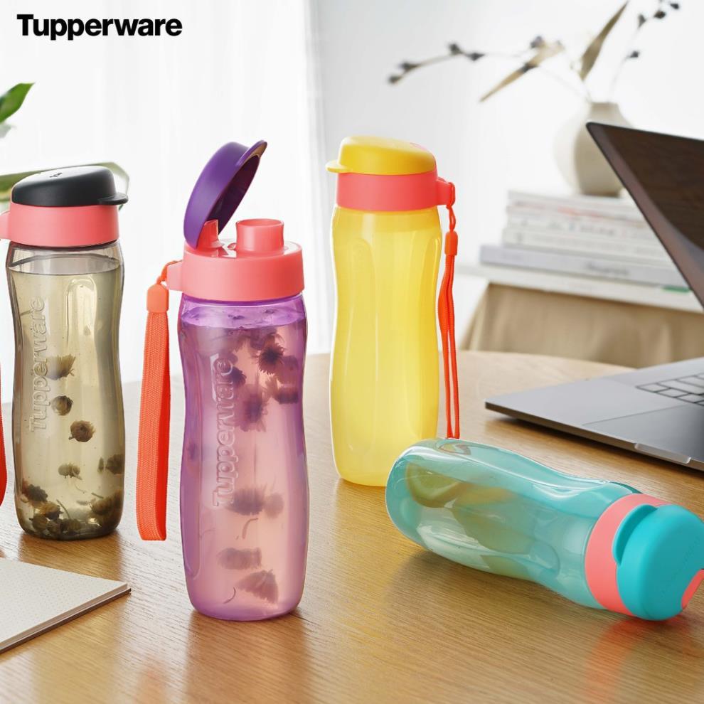 Bình Nước Tupperware Eco Bottle Gen II 500ml