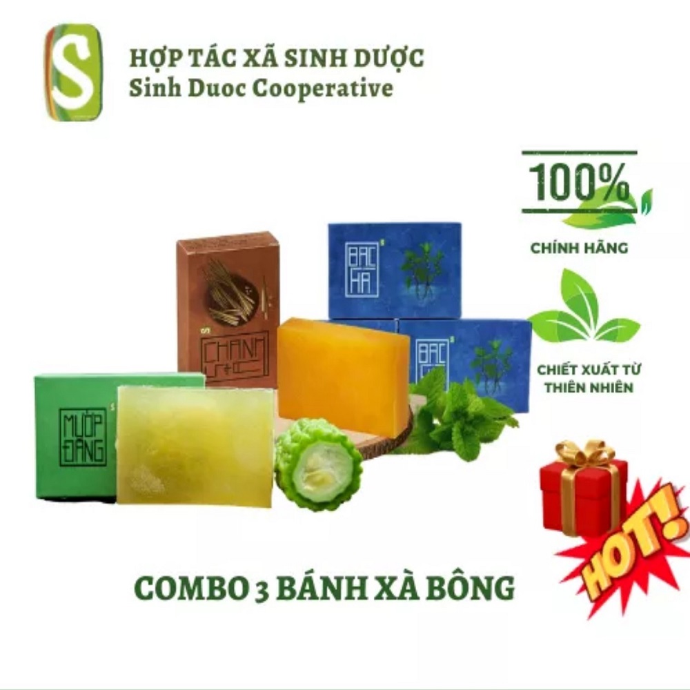 COMBO 3 XÀ BÔNG SINH DƯỢC 100% THIÊN NHIÊN , MÙI NGẪU NHIÊN, TẶNG TÚI LƯỚI TẠO BỌT VÀ XƠ MƯỚP