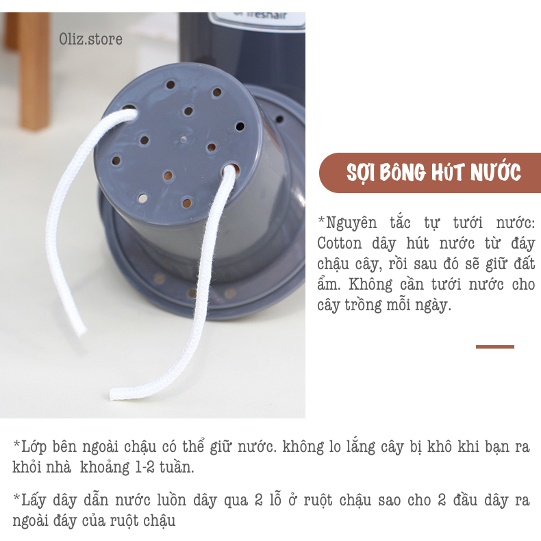Chậu trồng cây tự tưới Oliz TA0 màu trắng - Thiết kế 2 lớp, có khả năng tự tưới nước cho cây