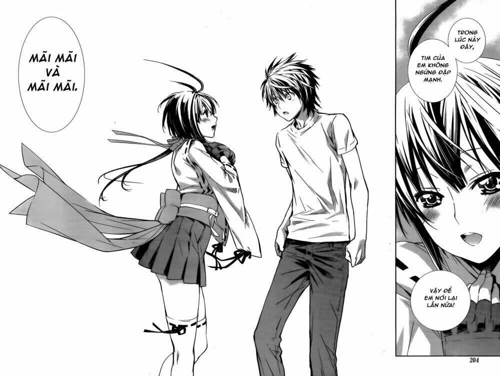 sekirei chapter 138 17