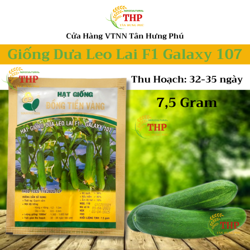 Hạt giống Dưa Leo Lai F1 Galaxy 107 | Hạt Giống | gói 7.5gr