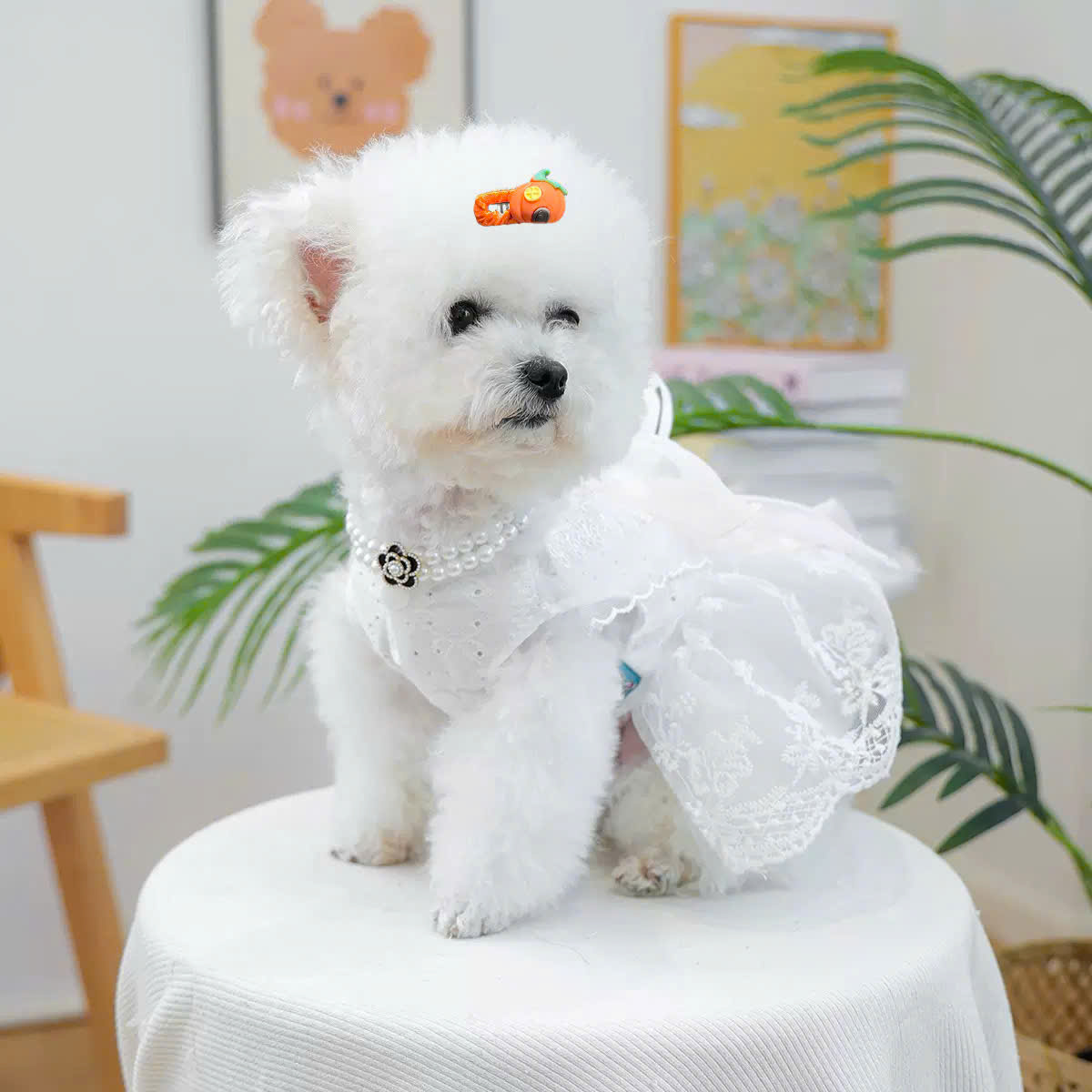 NƠ KẸP TÓC BUỘC TÓC CÀI TÓC THỜI TRANG DỄ THƯƠNG HALLOWEEN MÃ 35 CHO THÚ CƯNG CHÓ MÈO