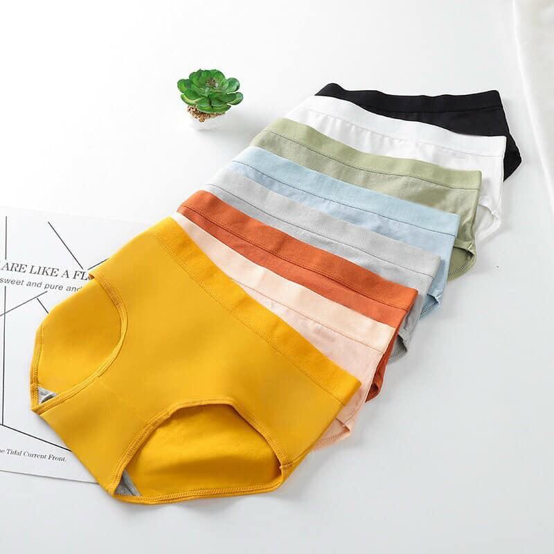 LỐ 10 QUẦN COTTON XUẤT NHẬT CẠP CAO SIÊU THOÁNG MÃ 623