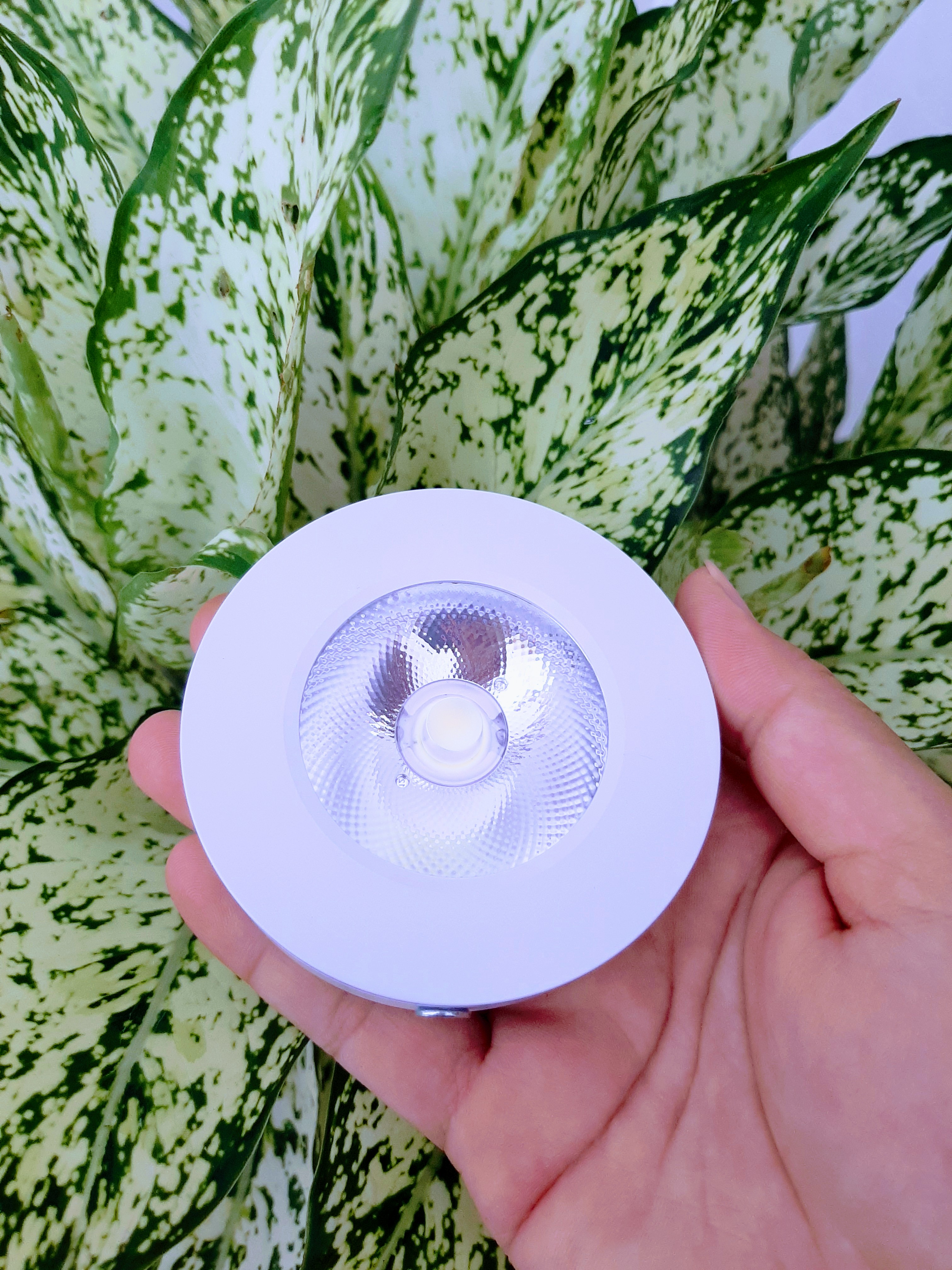 Đèn Led Ốp Nổi Tủ Rượu, Tủ Bếp, Kệ Trưng Bày, Tủ Quần Áo Công Suất 5W Ánh Sáng Trắng/Vàng