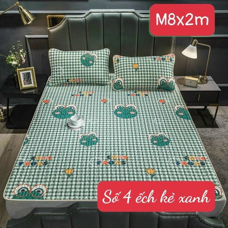 Chiếu điều hoà - 1 chiếu kèm 2 vỏ gôi,1m6.2m