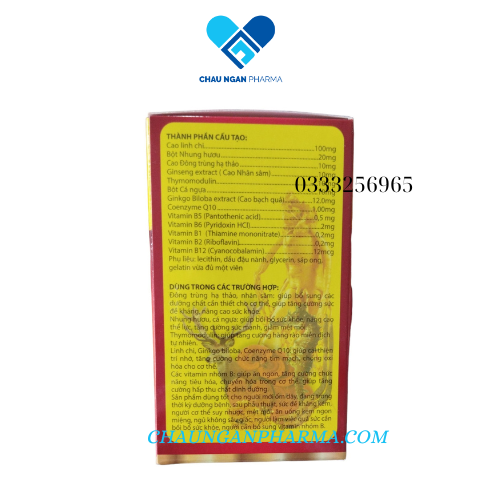 20B With Ginseng Bồi bổ sức khỏe, kích thích tiêu hóa, tăng cường miễn dịch cơ thể hộp 100v