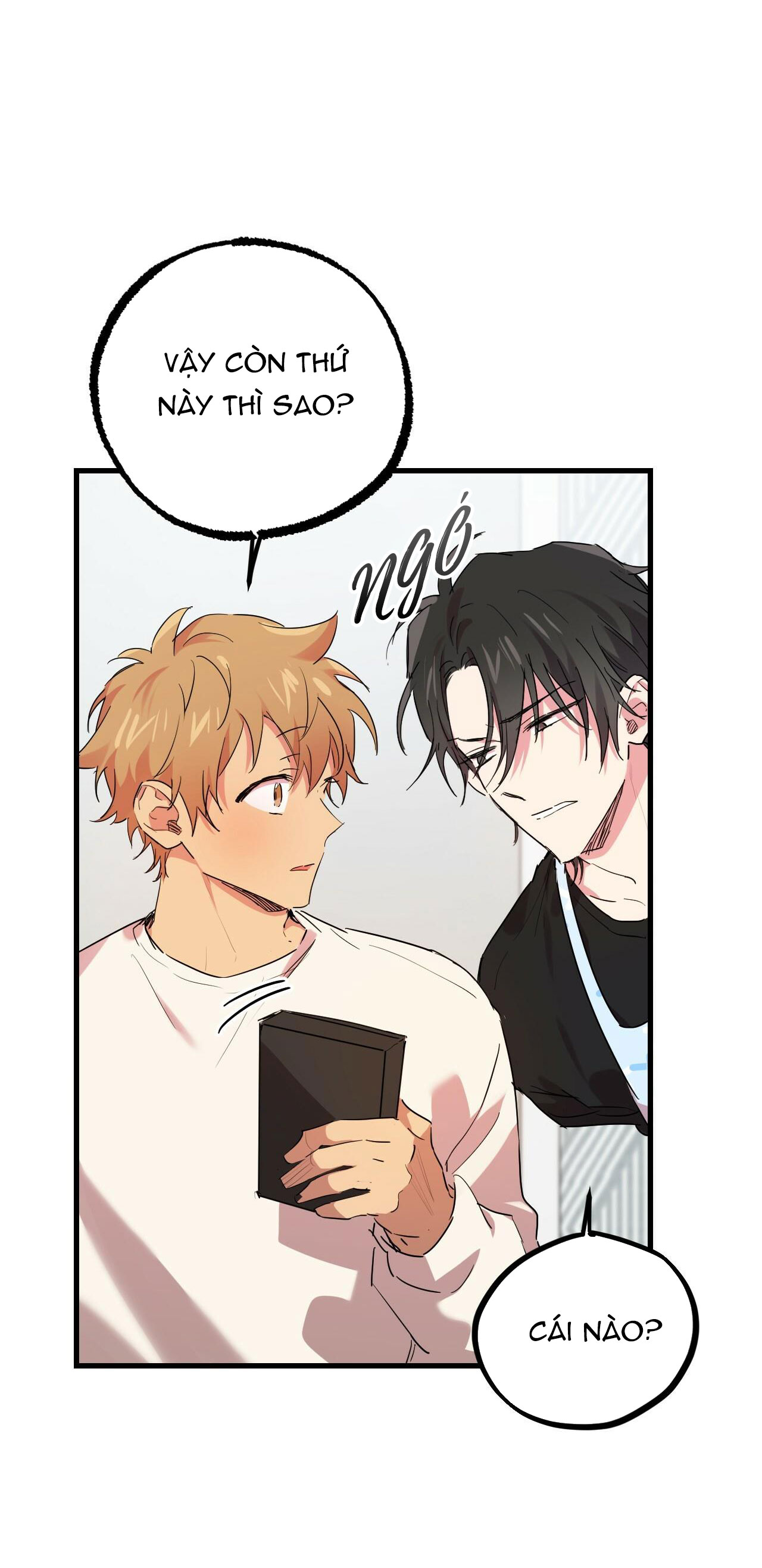 những chú thỏ của hapypy chapter 12 17