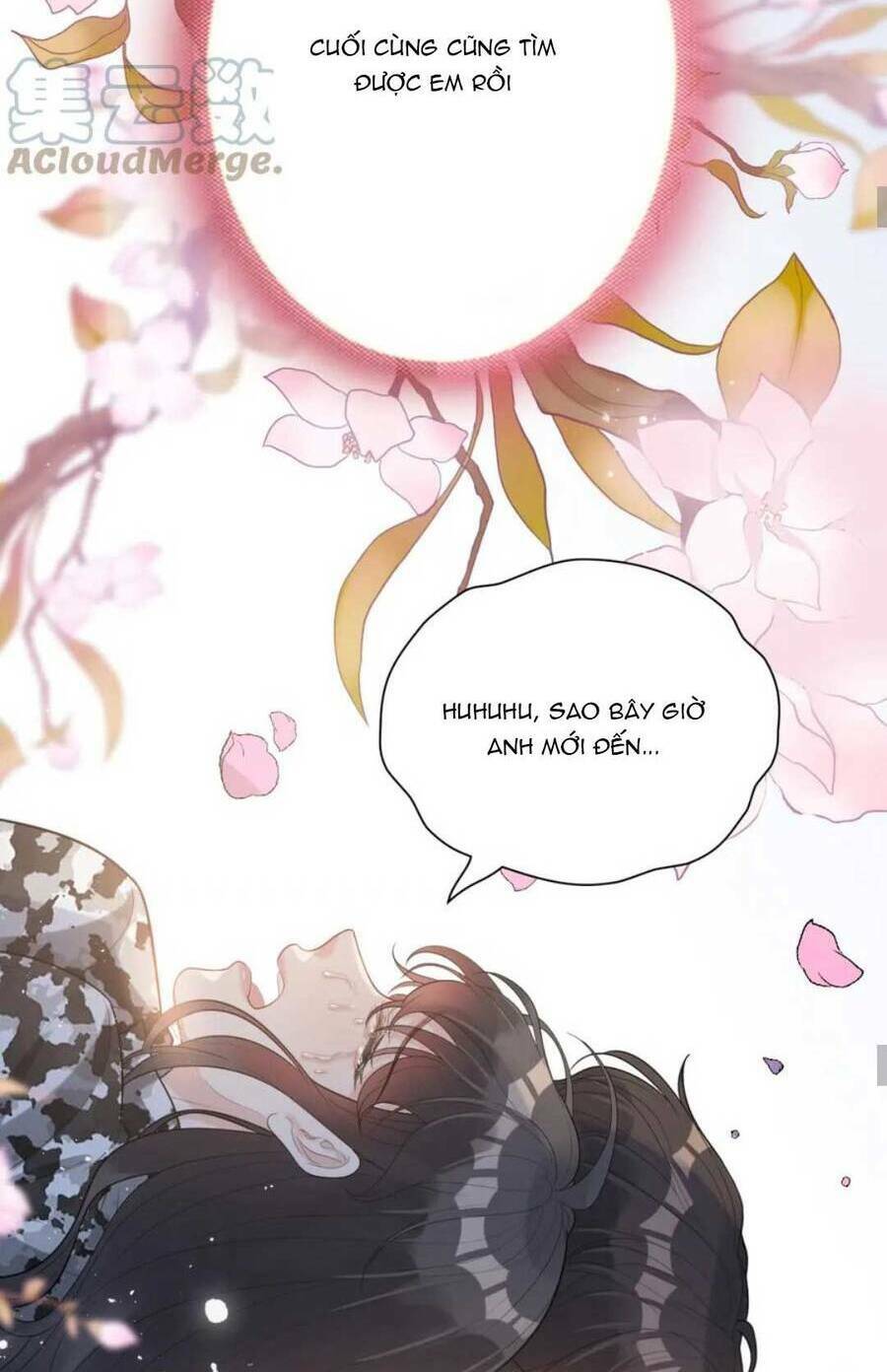 cô vợ hợp đồng bỏ trốn của tổng giám đốc chapter 489 22