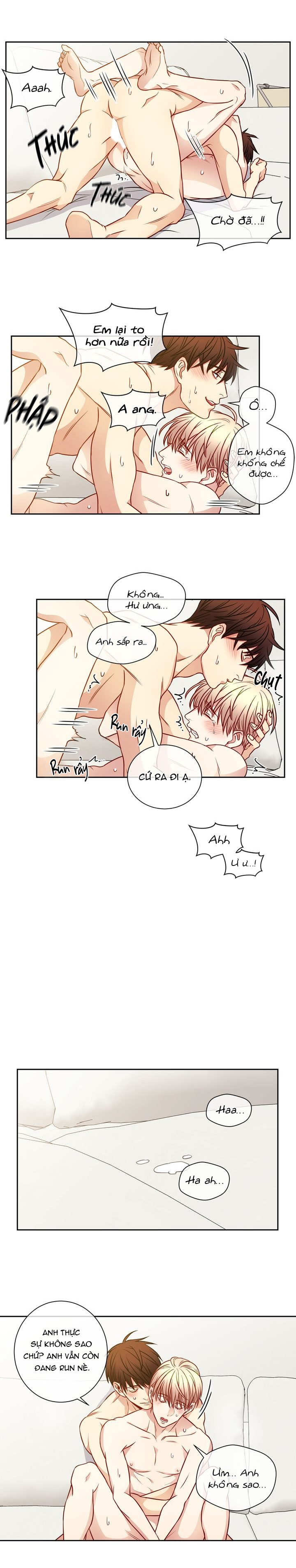 tựa như tình đầu chapter 40 10