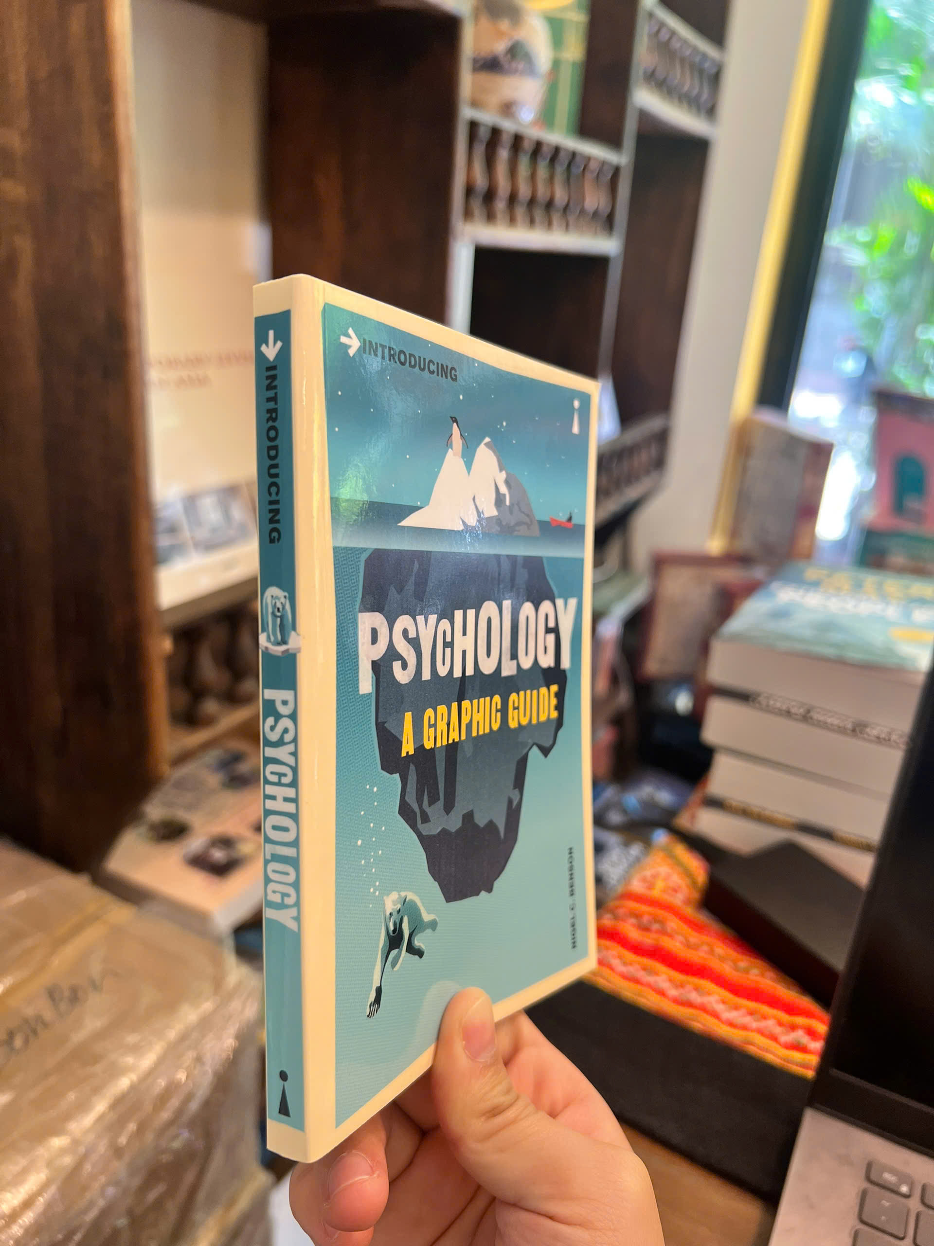 Sách - Introducing Psychology: A Graphic Guide to Your Mind & Behaviour | Ngoại văn / Tâm lý học