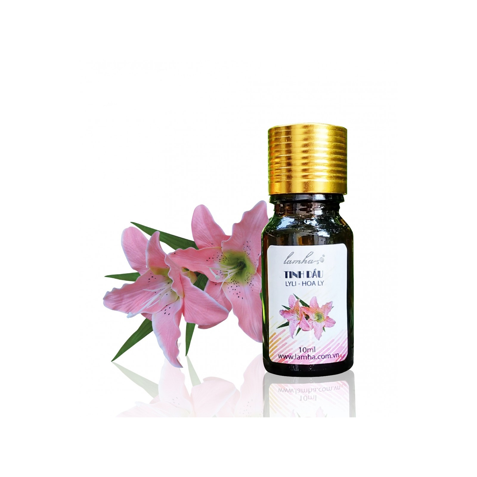 Tinh dầu Hoa Ly Lam Hà Lyli (10ml): giúp thanh lọc không khí, tăng khả năng hoạt động của phổi, kích thích tuần hoàn và có tác dụng chống vi khuẩn, nấm, ẩm mốc.
