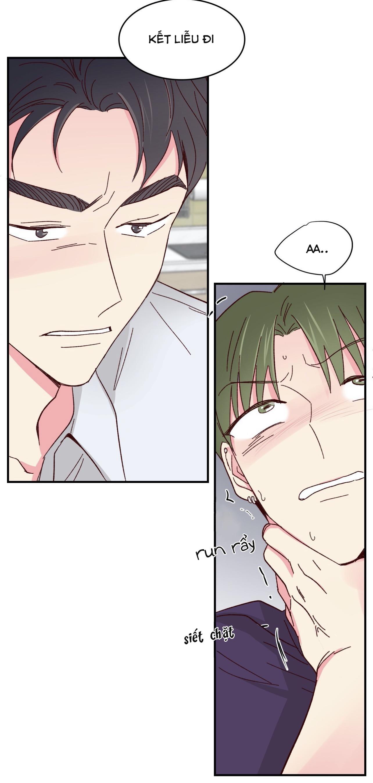 món tráng miệng của sếp tổng chapter 58 39