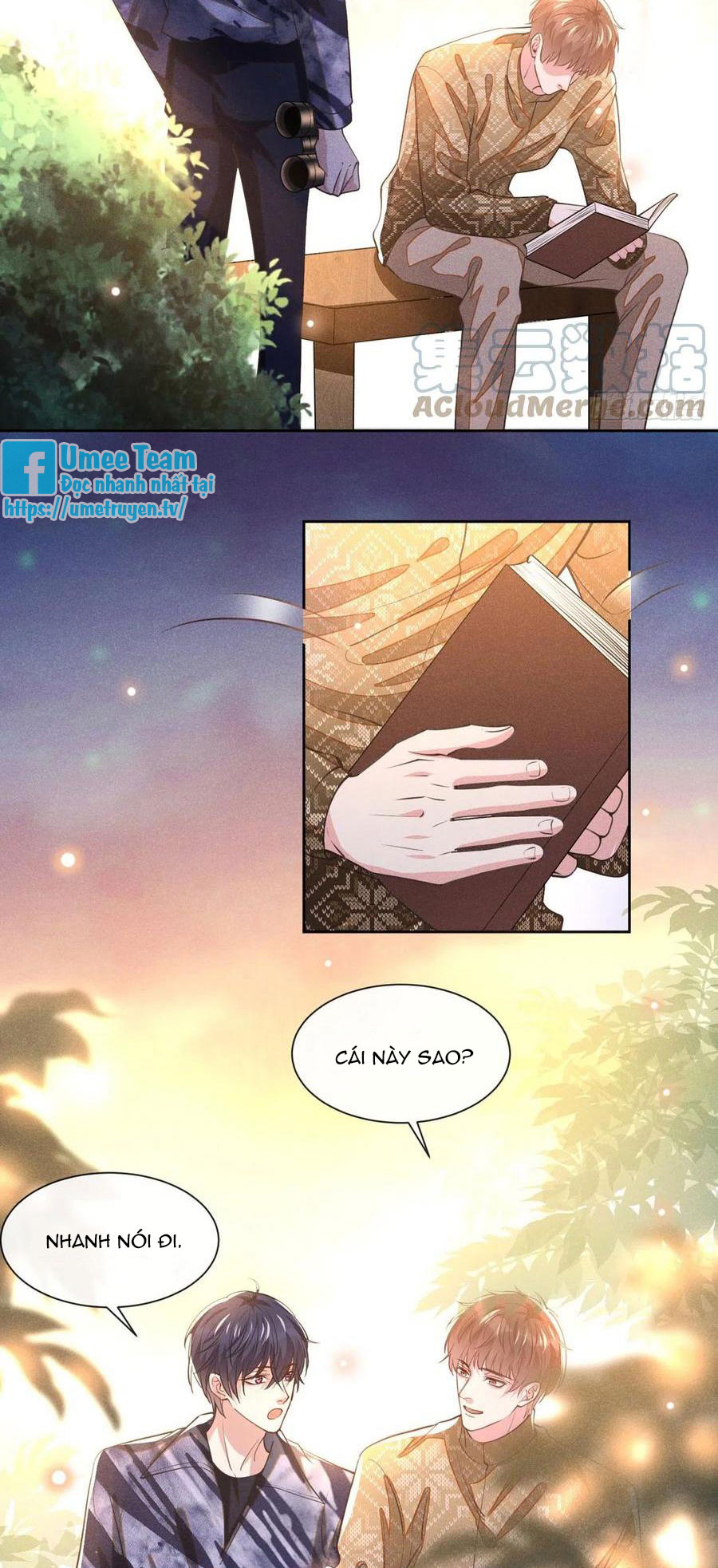 anh ấy gọi tôi là hắc liên hoa chapter 149 22