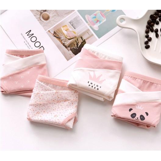 Set 4 quần chíp bầu cotton cao cấp