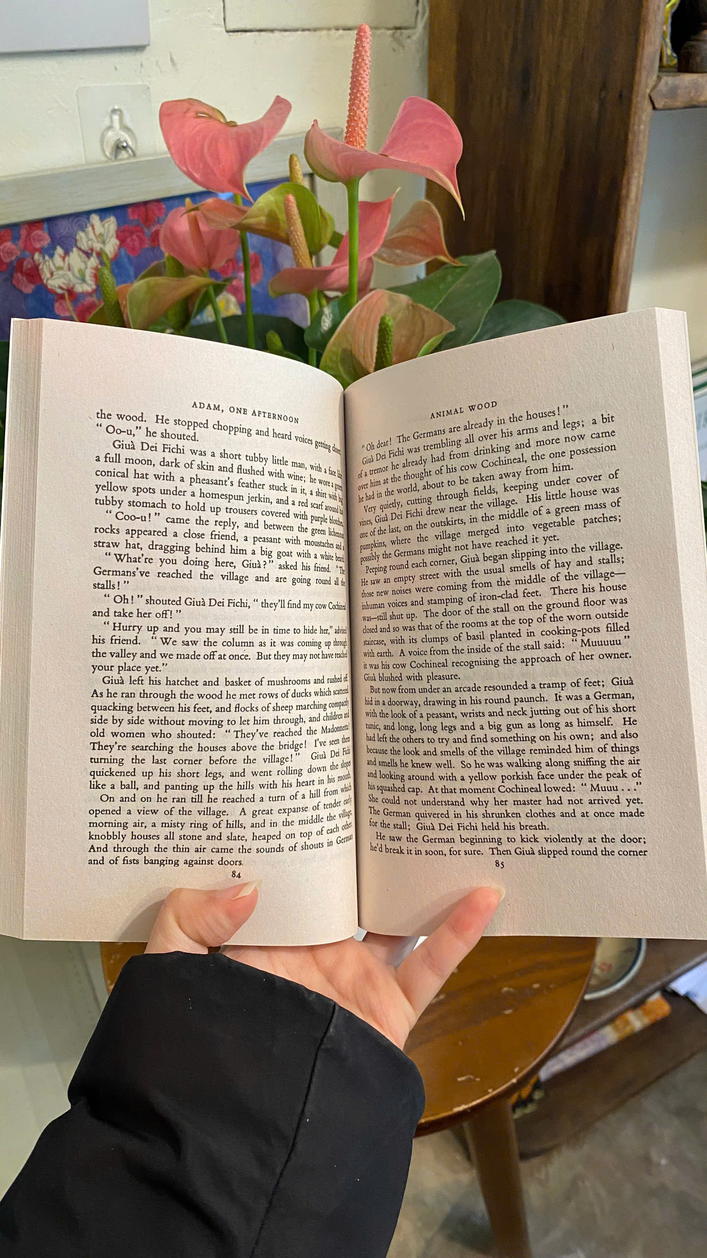 Sách - Adam, One Afternoon by Italo Calvino | Short Stories / Fiction / Truyện ngắn Ngoại văn