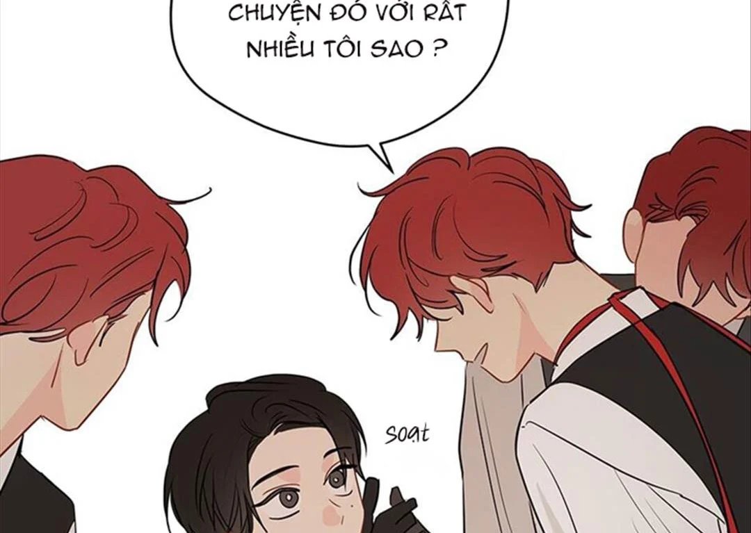 chuyện quái gì với giấc mơ đó vậy chapter 36 121