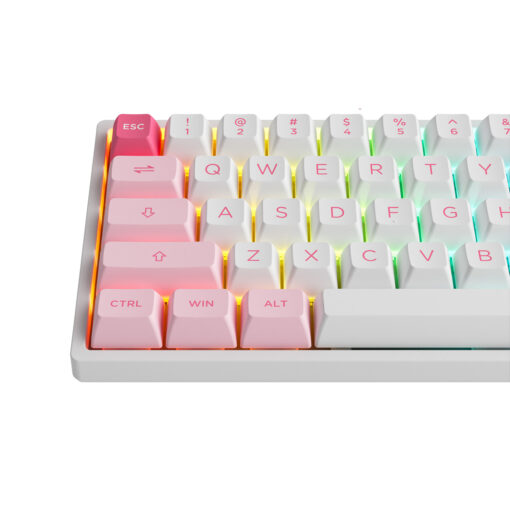 Bàn phím cơ AKKO 3068B Multi-modes Prunus Lannesiana Jelly Pink Switch Hàng Chính Hãng