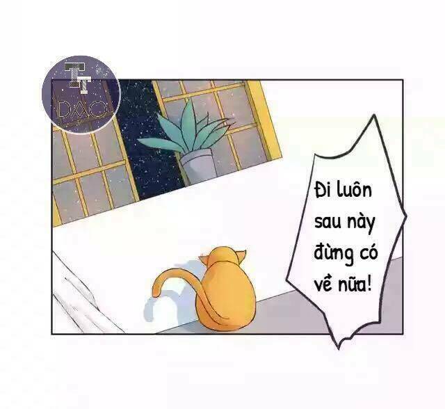 tôi không phải đa nhân cách chapter 17 14