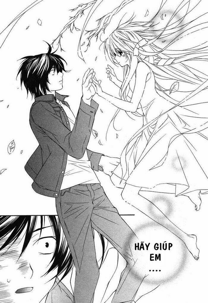 sekirei chapter 6 19