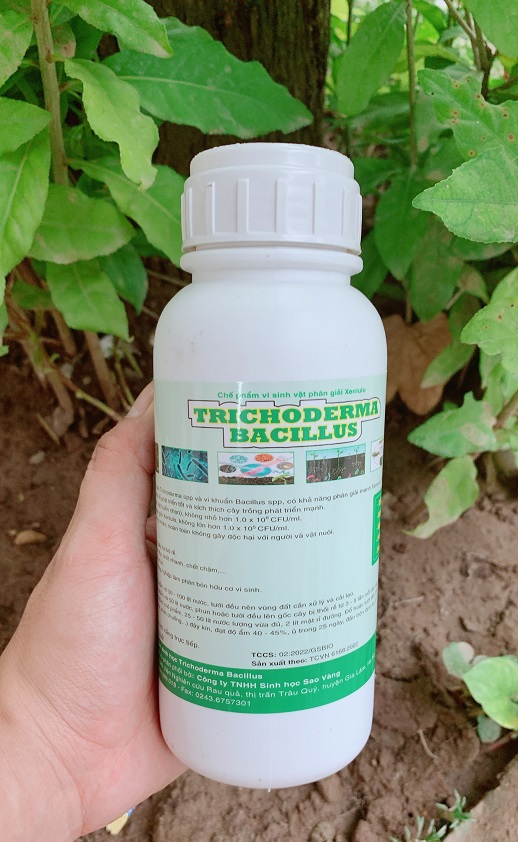 Chế phẩm Trichoderma Bacillus - Chai 500ml