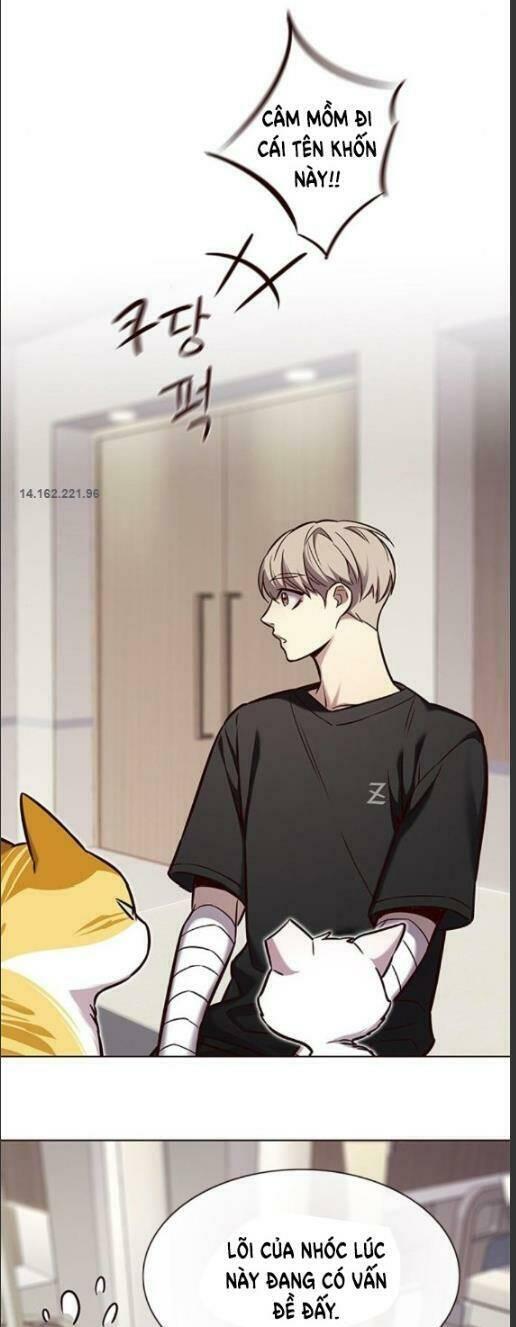 biến thân thành mèo chapter 160 14