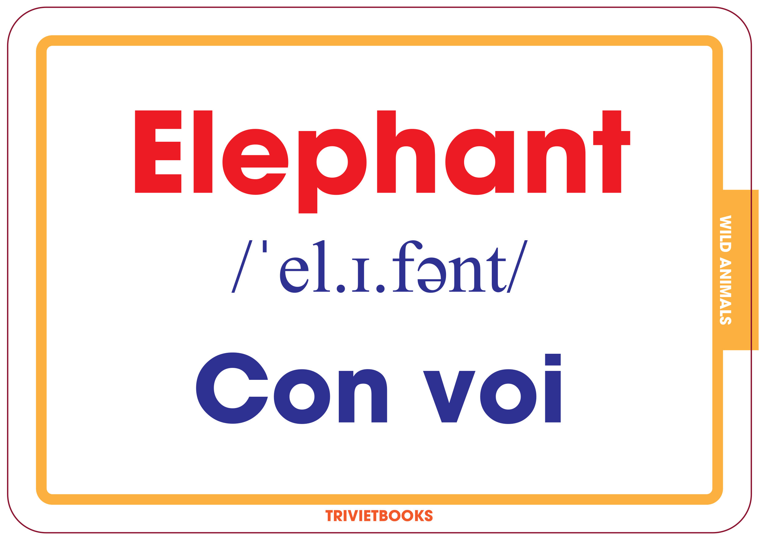 Bộ Thẻ Học Thông Minh Cho Bé - Flashcard Song Ngữ - Động vật hoang dã - Wild animals - Trí Việt